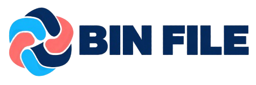 BIN FILE Logo