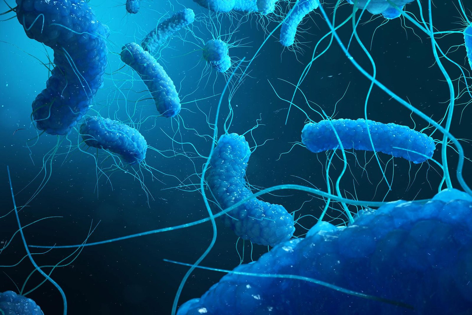 Legionella Risk Assessment